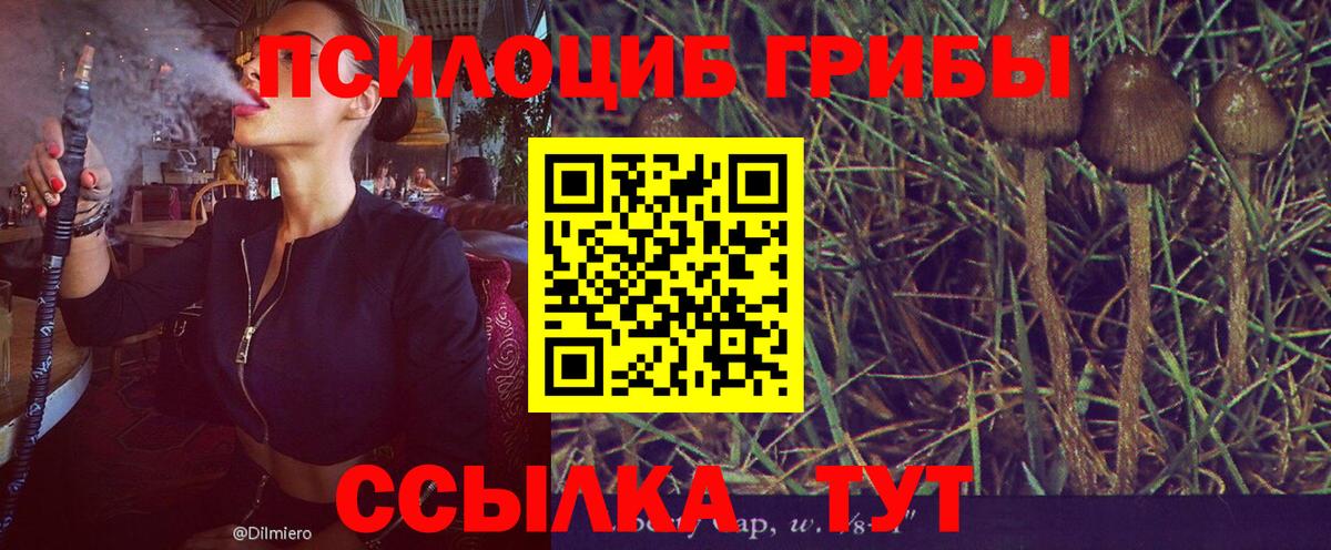 цена наркотик  Псилоцибиновые грибы Psilocybe  Вход с VPN  Энгельс 